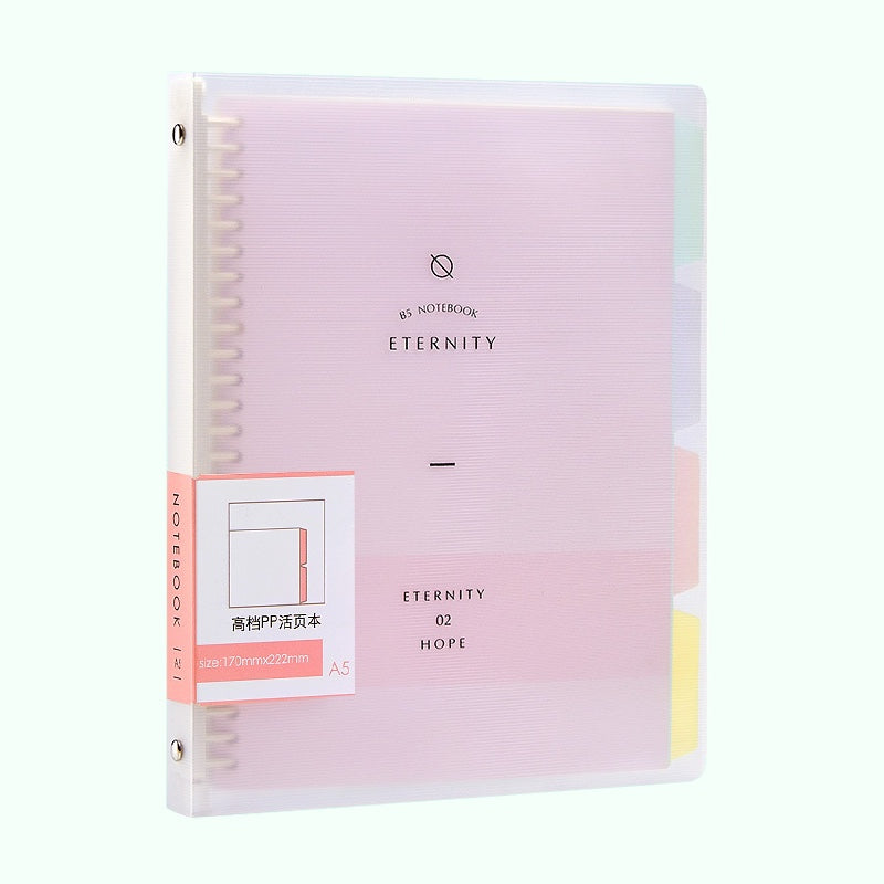Eternity Binder Notebook Pink A5